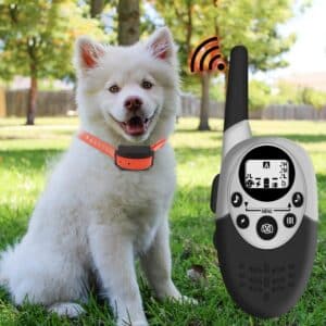 1000 mètres. Dresseur de chiens intelligent avec télécommande rechargeable