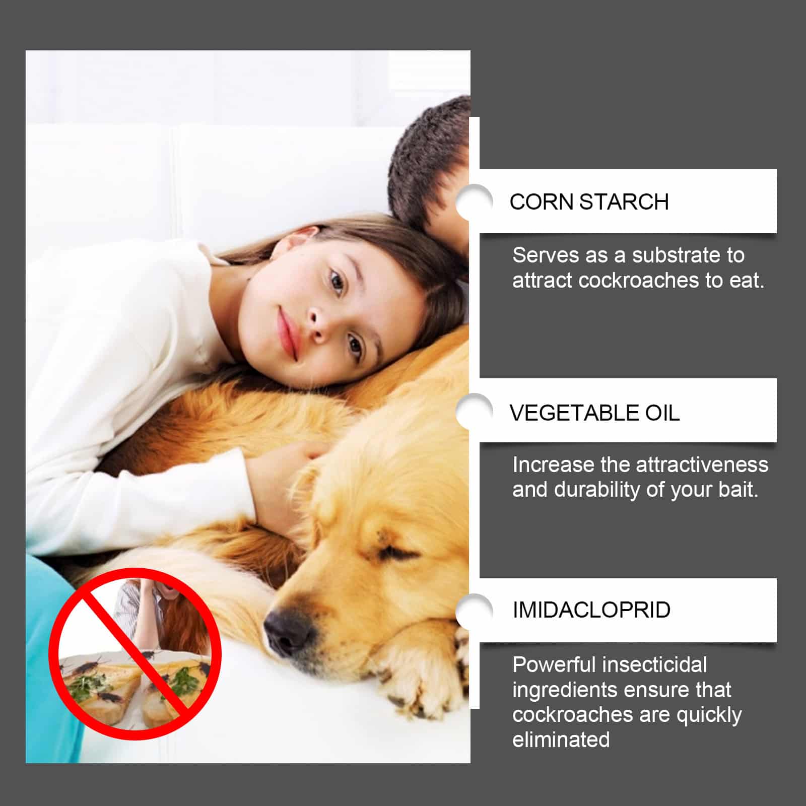 Anti-cafards ultra-efficace à usage domestique et industrielle – Image 5