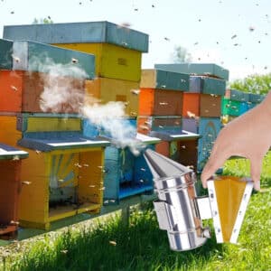 Outils d’apiculture.  Fumoir en acier inoxydable. Pulvérisateur de fumée
