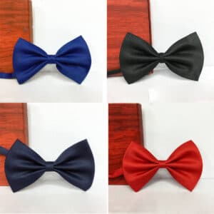 Noeud papillon multicolores de style en satin à la mode pour enfants