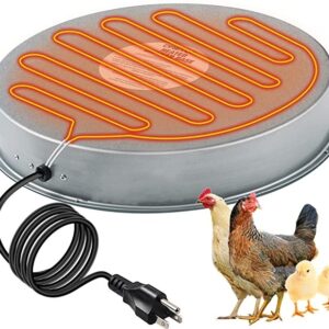 Base chauffante pour l’abreuvoir de volaille. Poulets et canads. Equipement de conservation de la chaleur