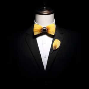 Nœud papillon en plumes élégant et à la mode pour hommes
