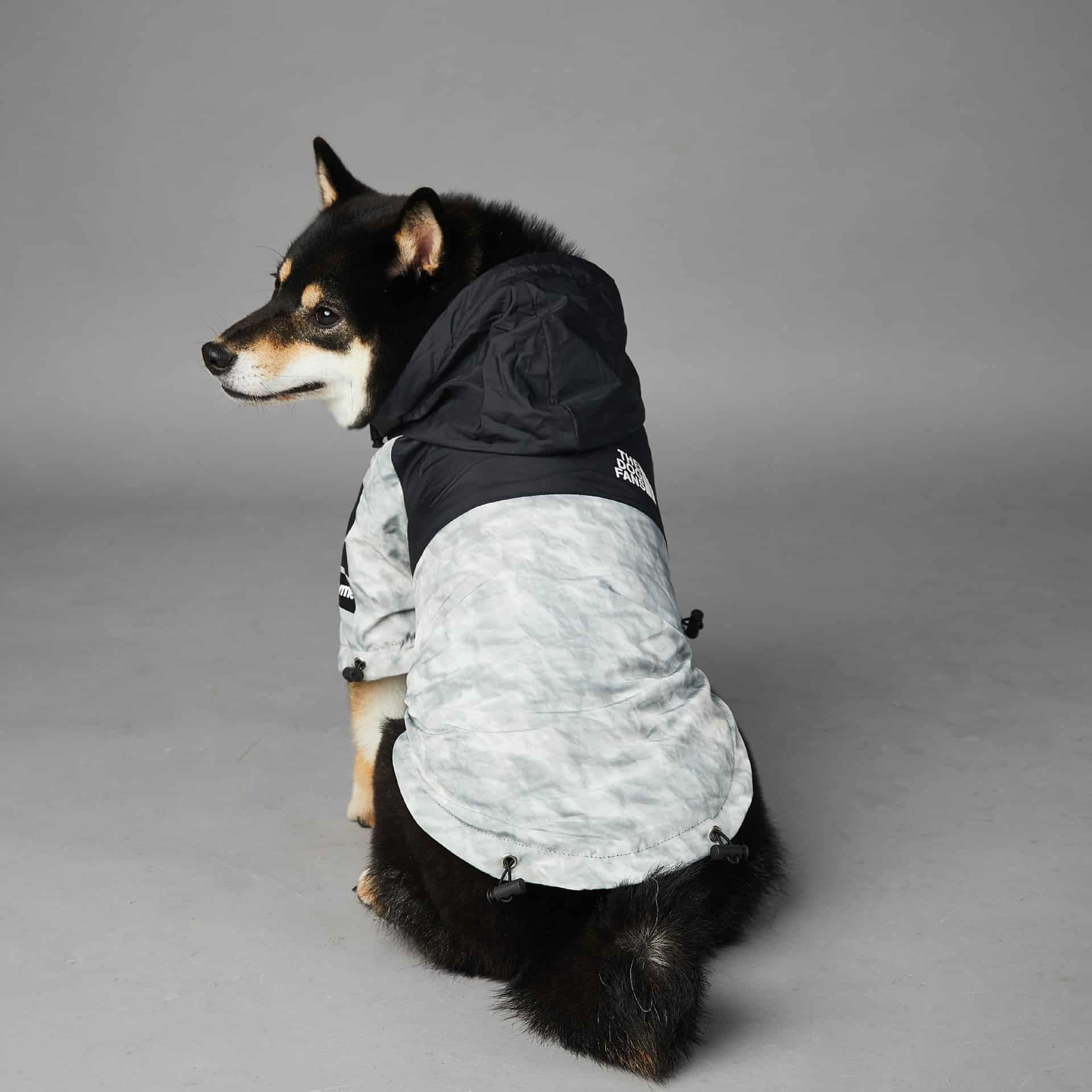 Veste pour chien. Vêtement pour animaux de compagnie – Image 8