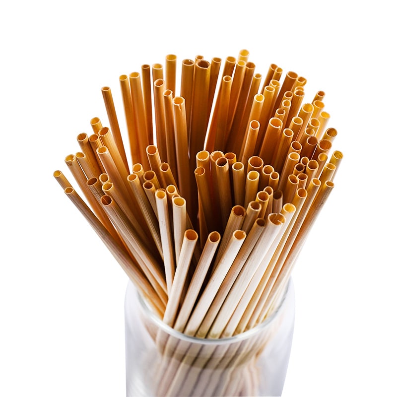 500 pièces/100pcs. Pailles lavables et réutilisables en paille naturel pour la boisson, jus, café, thé, lait, smoothie et cocktail