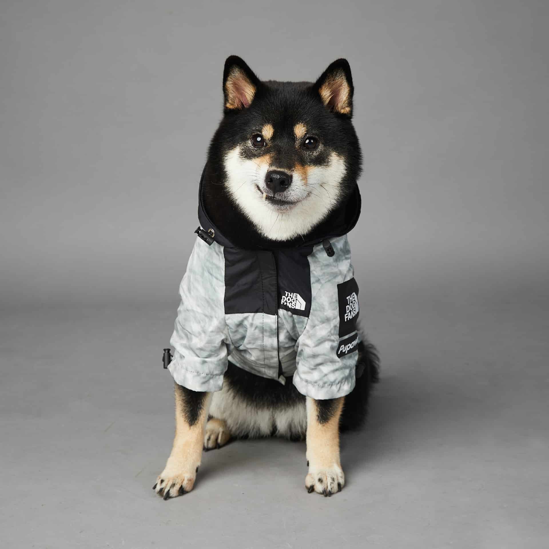 Veste pour chien. Vêtement pour animaux de compagnie – Image 10