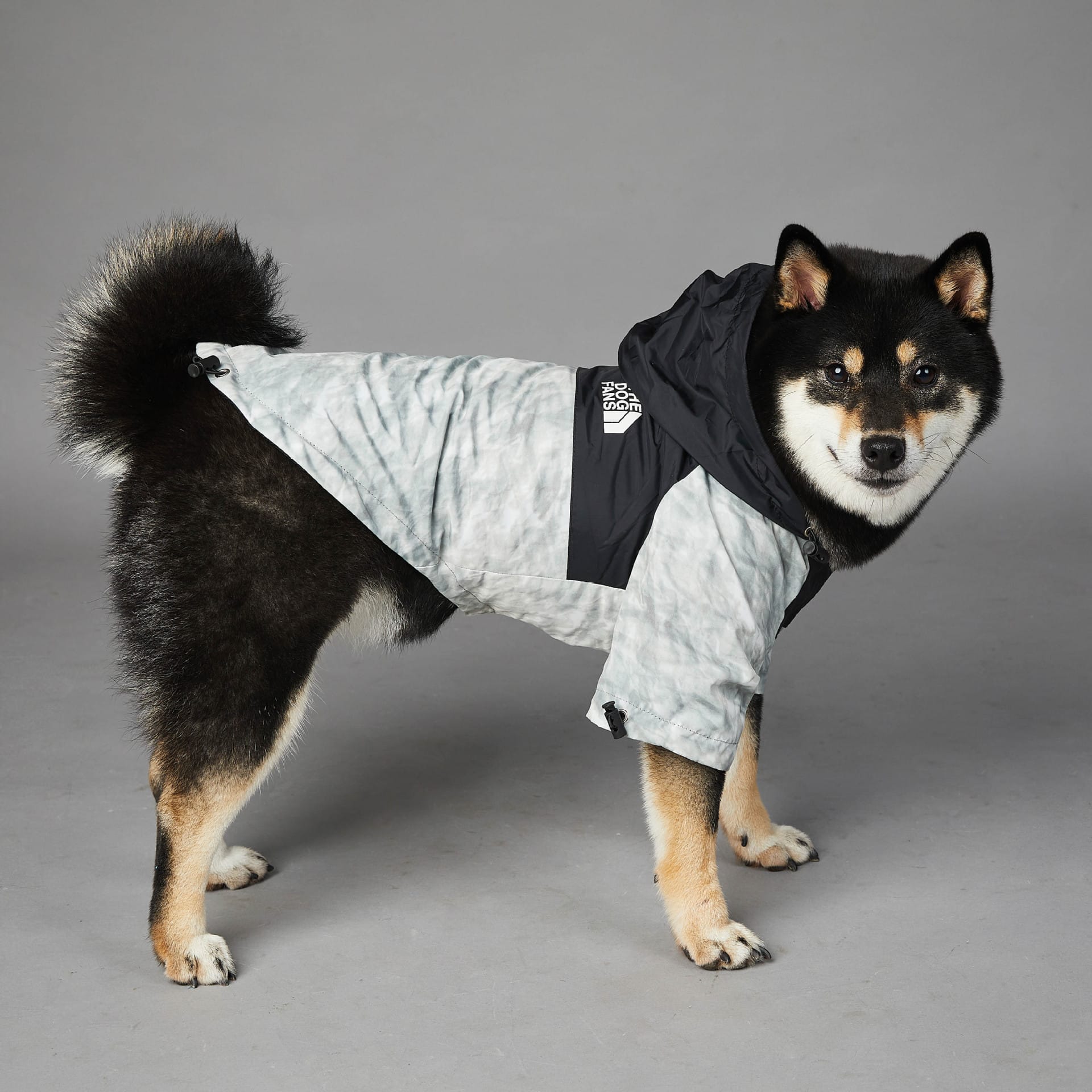 Veste pour chien. Vêtement pour animaux de compagnie
