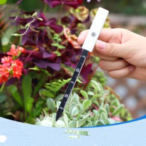 Hygromètre. Instrument d’analyse d’humidité du sol. Détecteur d’humidité du sol