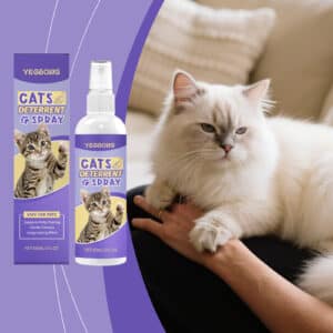 Spray de dressage pour chats
