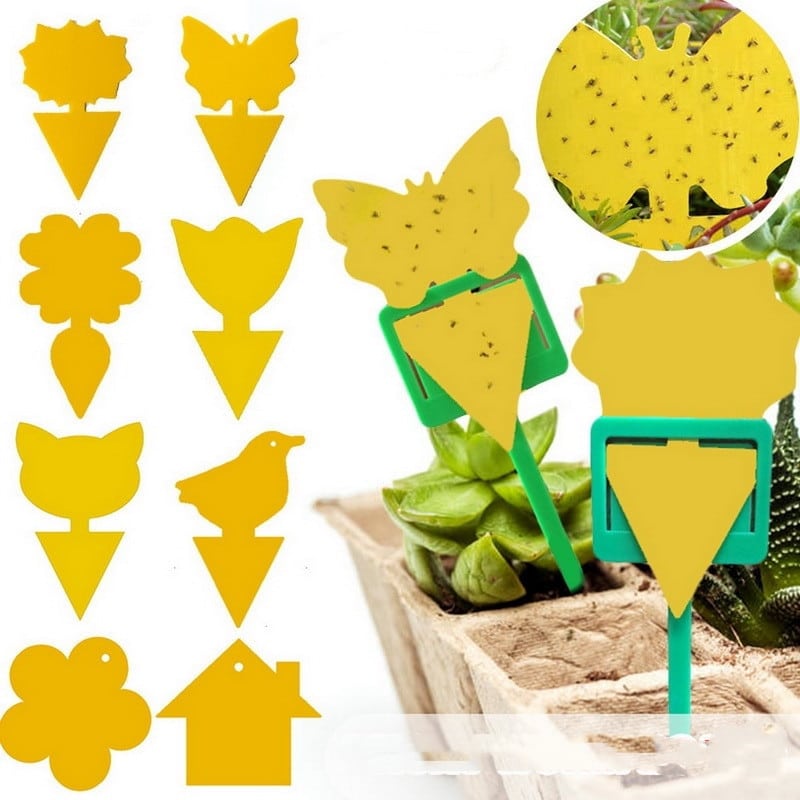 Piège à insectes jaune pour tuer les petits insectes volants