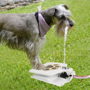 Fontaine d'eau automatique en extérieur pour animaux de compagnie