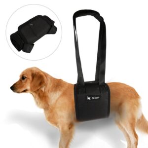 Support de levage pour chiens