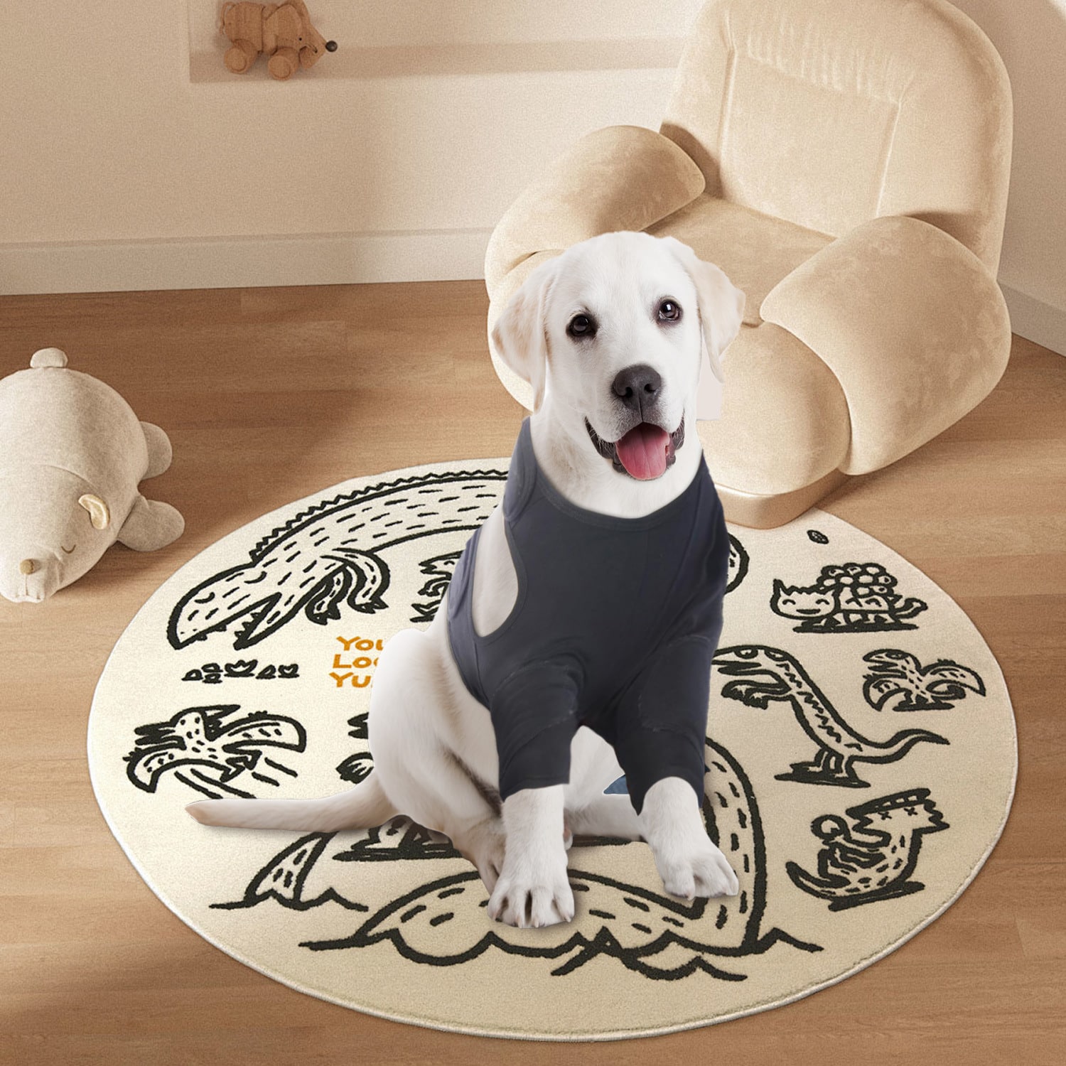 Manchon de soutien pour pattes de chien idéal pour la balade – Image 5