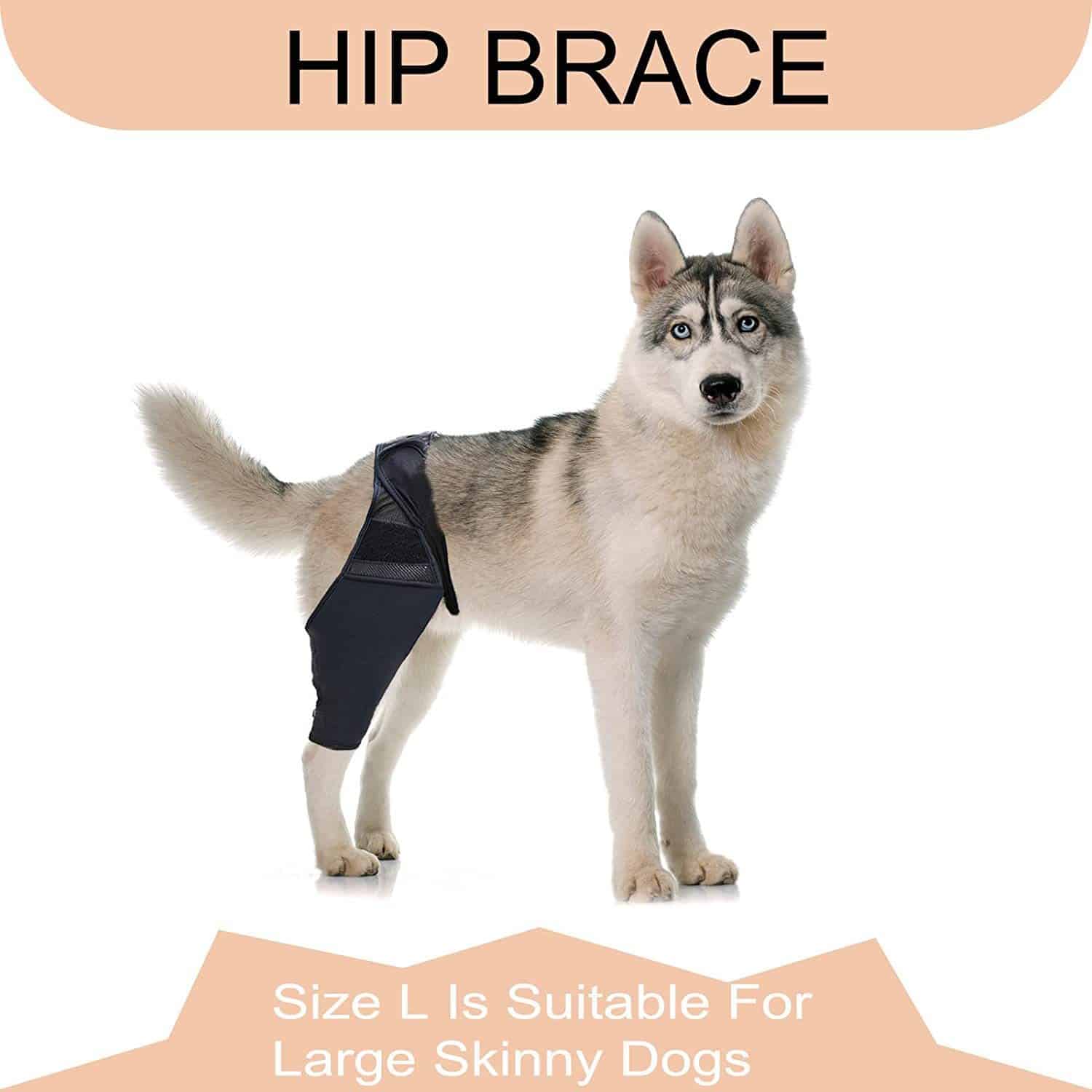 Support rigide pour pattes de chiens – Image 5