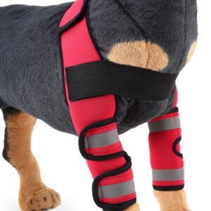 Une paire de supports de soutien pour pattes de chiens idéal pour la balade