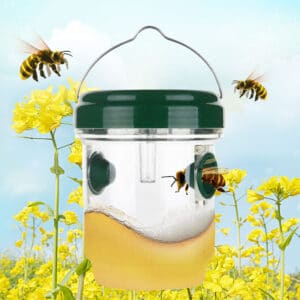 Piège à mouches à fruits. Piège solaire à abeilles LED. Piège à insectes