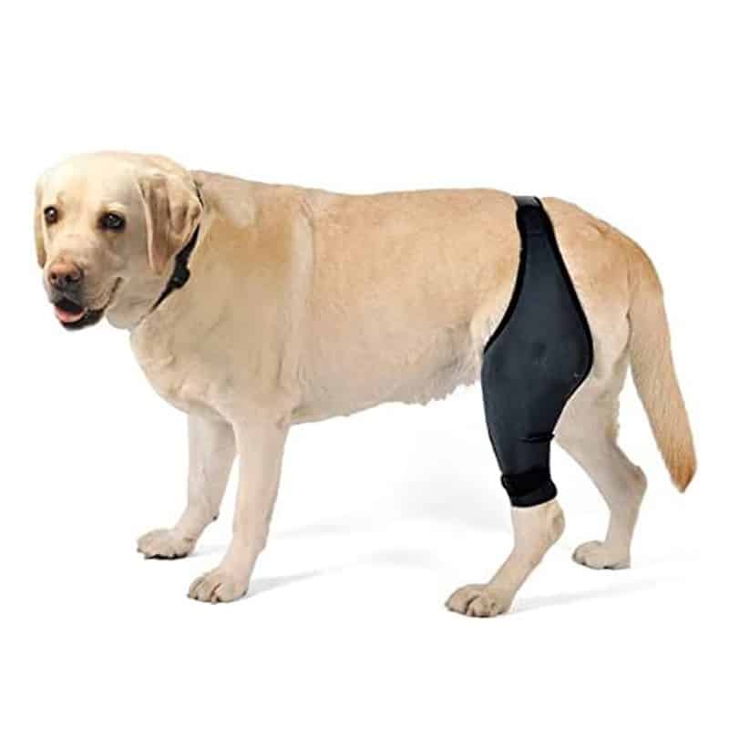 Support rigide pour pattes de chiens – Image 3