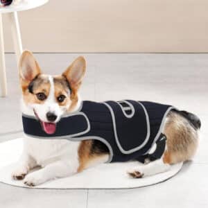 Harnais de soutien et d'assistance à la marche pour chiens