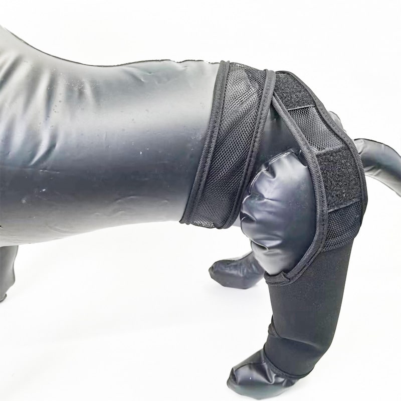 Support rigide pour pattes de chiens – Image 6