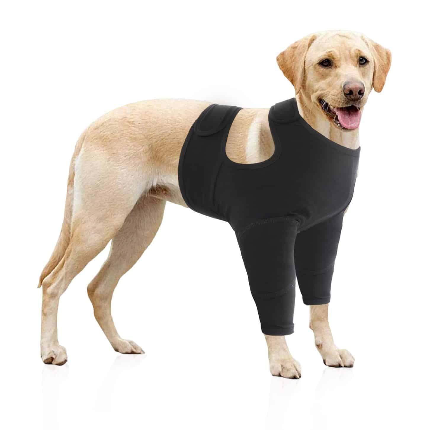 Manchon de soutien pour pattes de chien idéal pour la balade
