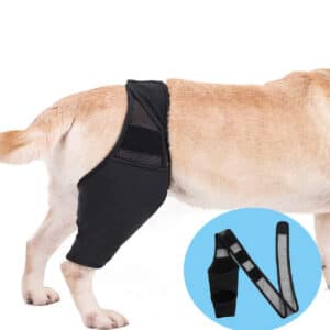 Une paire et 1pc. Protection de maintien rigide pour pattes de chiens