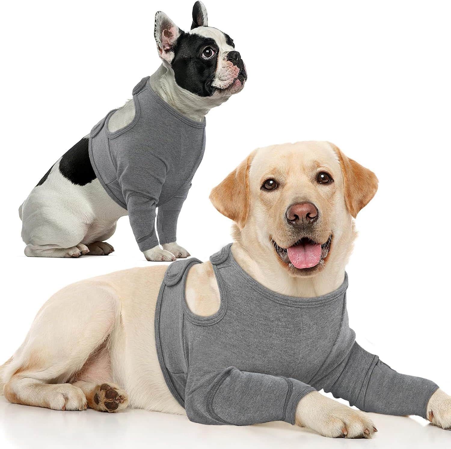 Manchon de soutien pour pattes de chien idéal pour la balade – Image 4