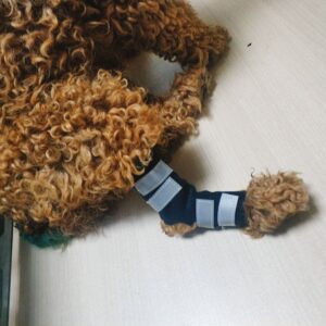 Une paire de supports de soutien pour pattes de chiens
