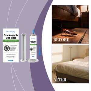 Appât en gel anti-cafards ultra-efficace