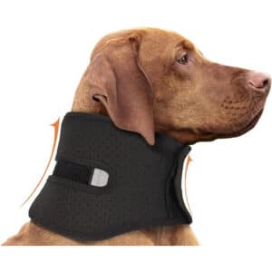 Support de maintien du cou du chien