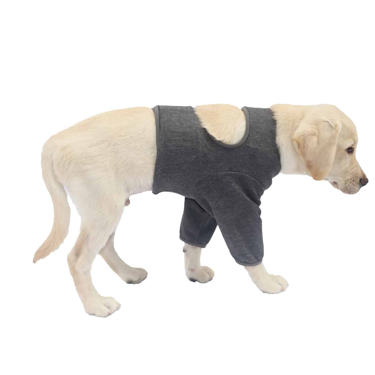 Manchon de soutien pour pattes de chien idéal pour la balade – Image 2