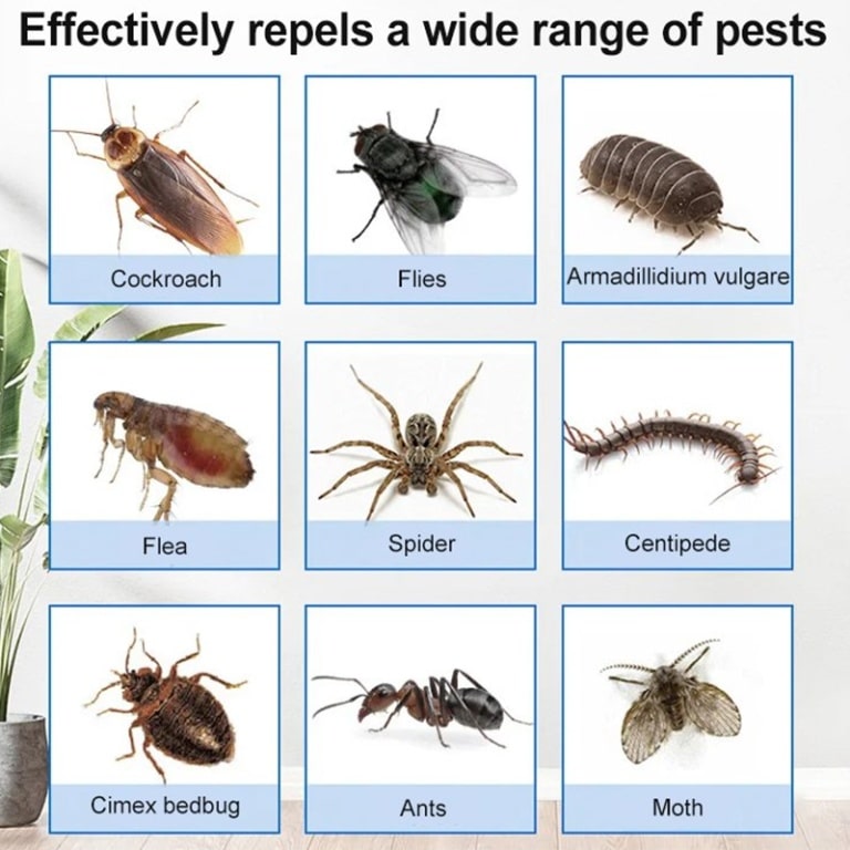 Lot de 1 et 5 boîtes magiques anti-cafards ultra-efficaces pour la maison. Répulsifs contre les moustiques et les parasites – Image 3