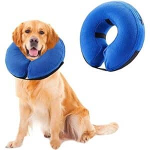 Collier de protection gonflable pour chiens et chats
