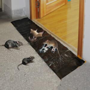 Lot de 1 ou 6 pièges à souris et piège à rats collant efficace. Plaque autocollante anti-rongeurs