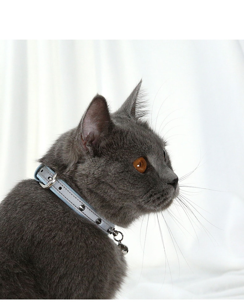 Collier anti-morsure ajustable pour chat et chien – Image 3