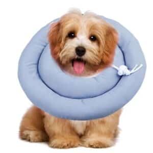 Collerette de protection pour chat et chien ajustable. Collier conique souple