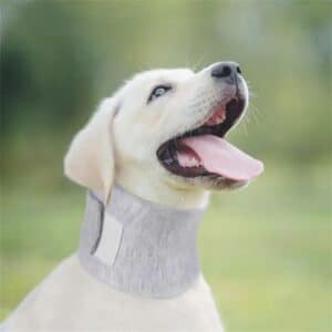 Collier anti-léchage et anti-morsure ajustable pour chat et chien