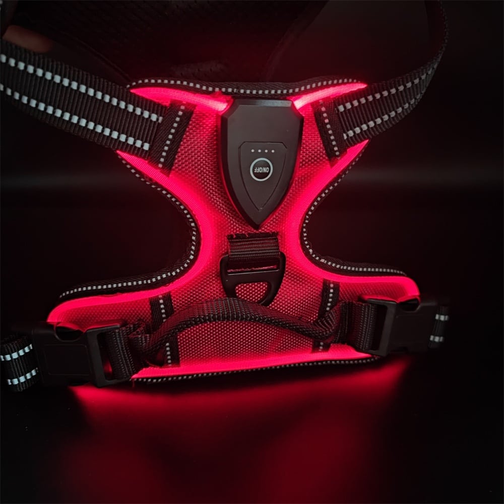 Harnais et laisse lumineux LED pour chats et chiens idéal pour la promenade nocturne. Gilet clignotant réglable anticollision – Image 6