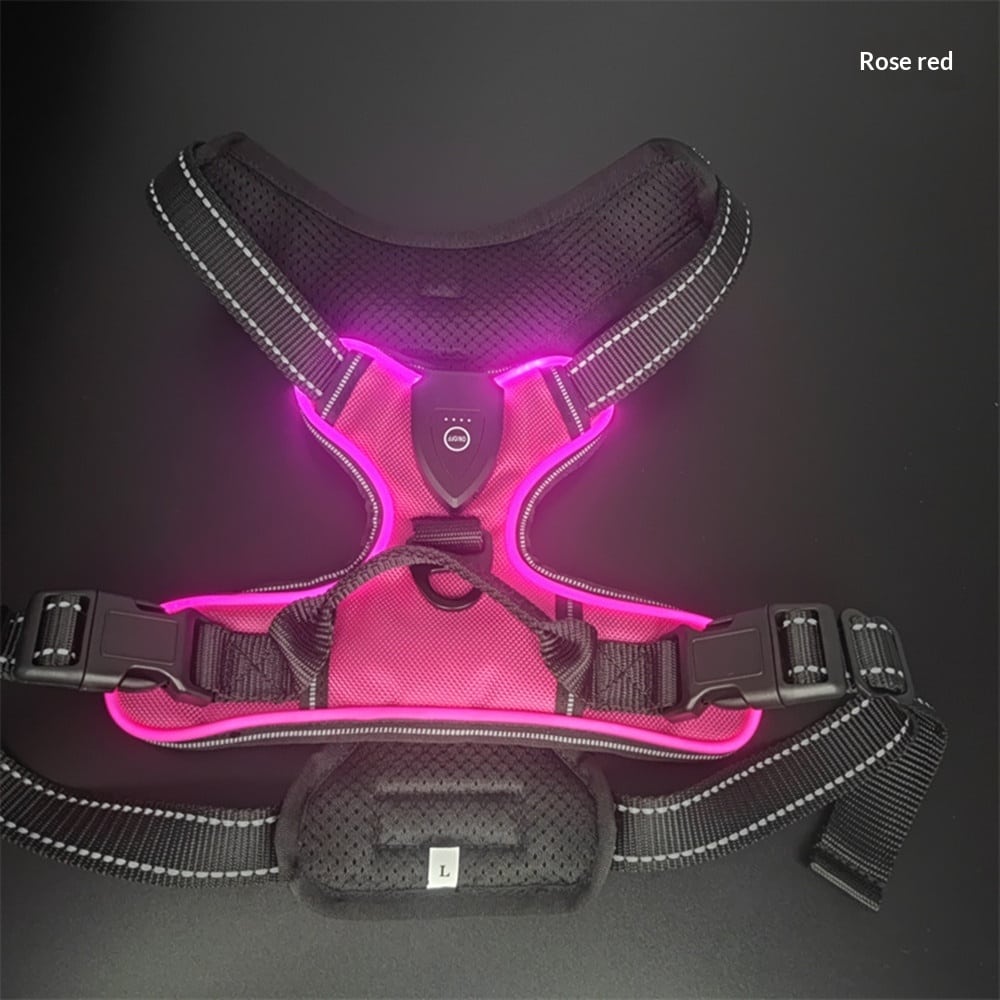 Harnais et laisse lumineux LED pour chats et chiens idéal pour la promenade nocturne. Gilet clignotant réglable anticollision – Image 2