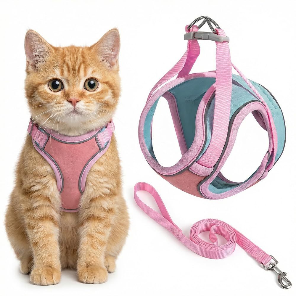 Harnais et laisse pour chats et chiens ajustable pour la marche et la promenade – Image 5