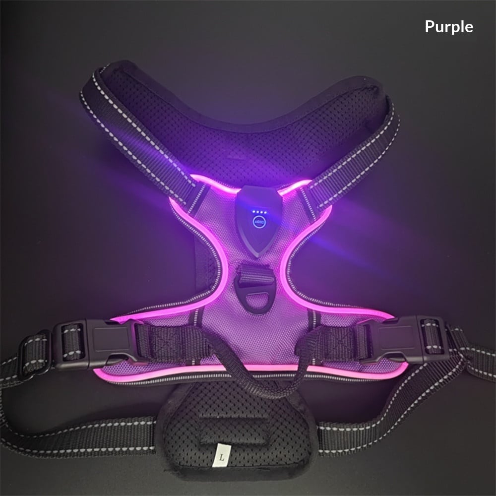 Harnais et laisse lumineux LED pour chats et chiens idéal pour la promenade nocturne. Gilet clignotant réglable anticollision – Image 3
