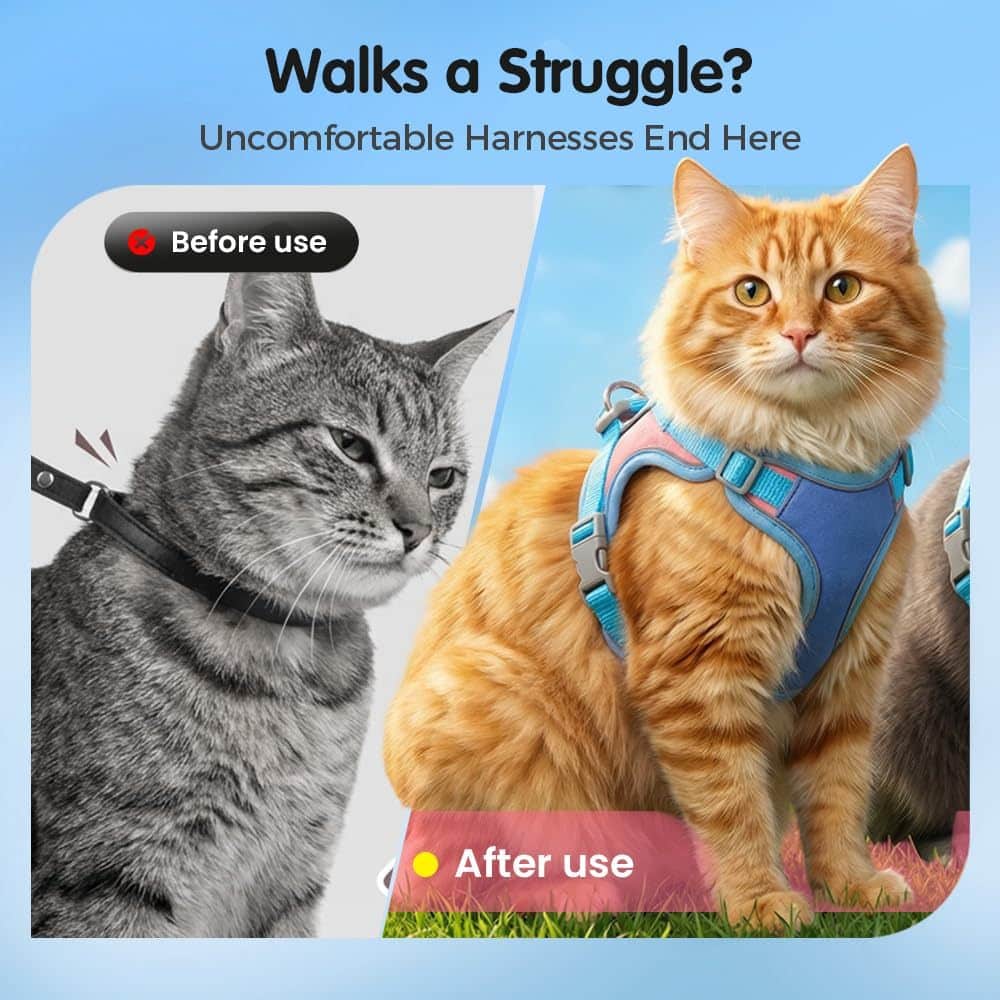 Harnais et laisse pour chats et chiens ajustable pour la marche et la promenade – Image 6