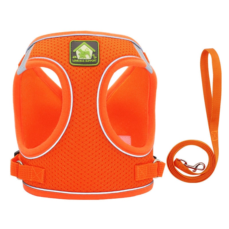 Harnais et laisse pour chats et chiens. Gilet de promenade ajustable souple à bande réfléchissante – Image 7