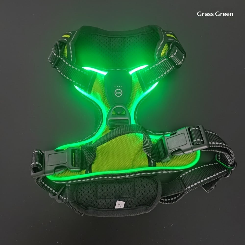 Harnais et laisse lumineux LED pour chats et chiens idéal pour la promenade nocturne. Gilet clignotant réglable anticollision – Image 4
