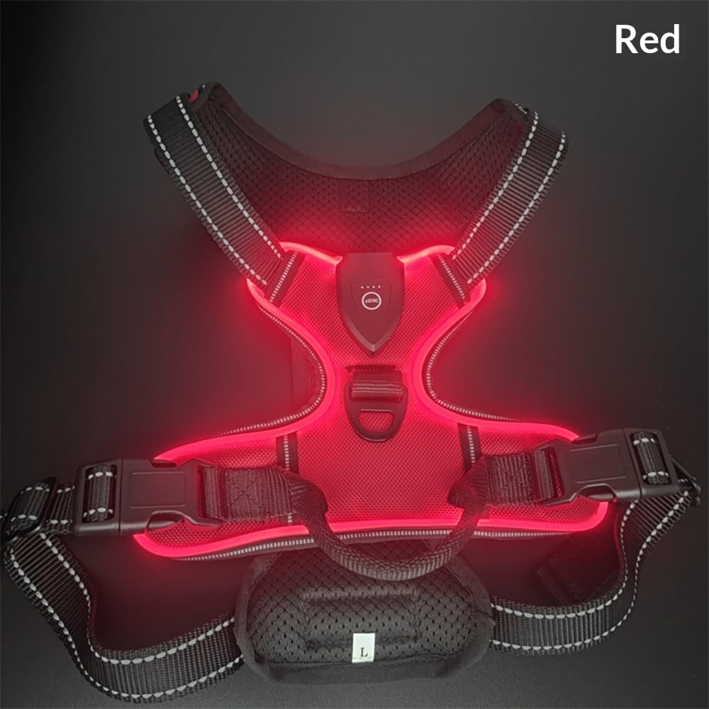 Harnais et laisse lumineux LED pour chats et chiens idéal pour la promenade nocturne. Gilet clignotant réglable anticollision – Image 9