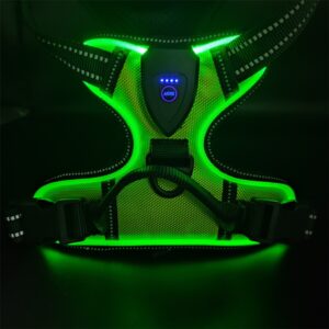 Harnais et laisse lumineux LED pour chats et chiens idéal pour la promenade nocturne. Gilet clignotant réglable anticollision