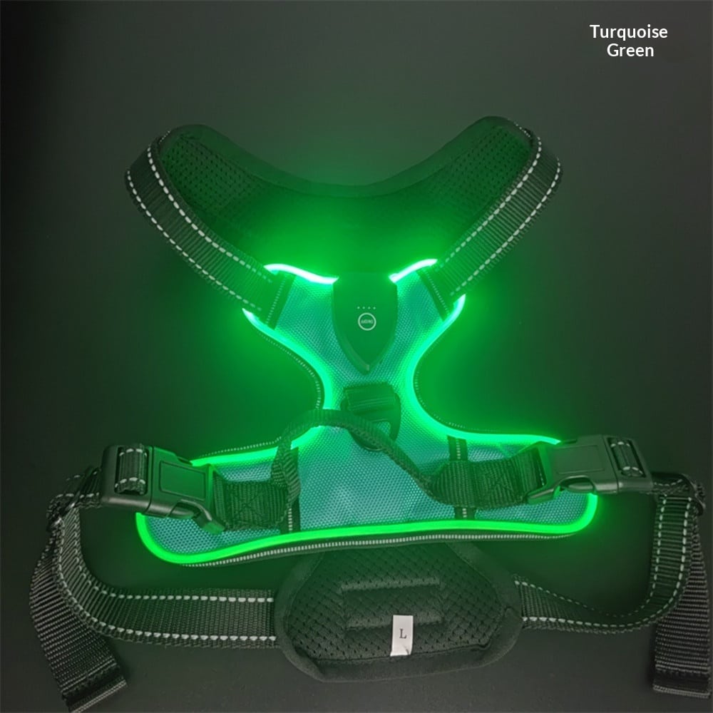 Harnais et laisse lumineux LED pour chats et chiens idéal pour la promenade nocturne. Gilet clignotant réglable anticollision – Image 5